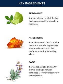 Skai Aquatic Perfume – 8ml Edge Zapvi